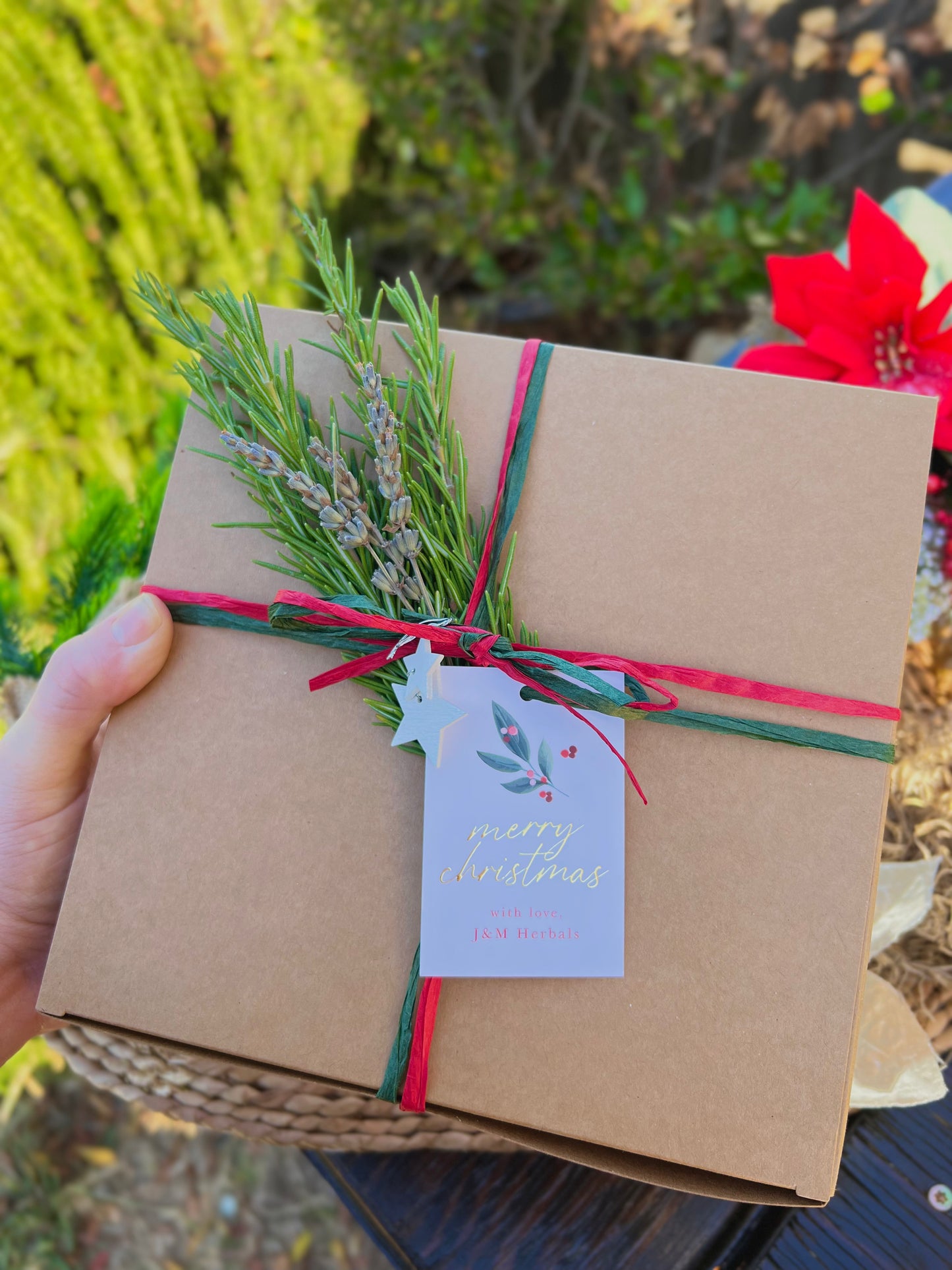 Body Wellness Holiday Bundle