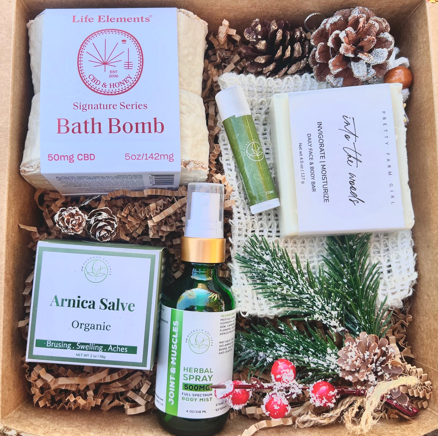 Body Wellness Holiday Bundle