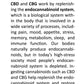 Focus Oil (CBG Drops)