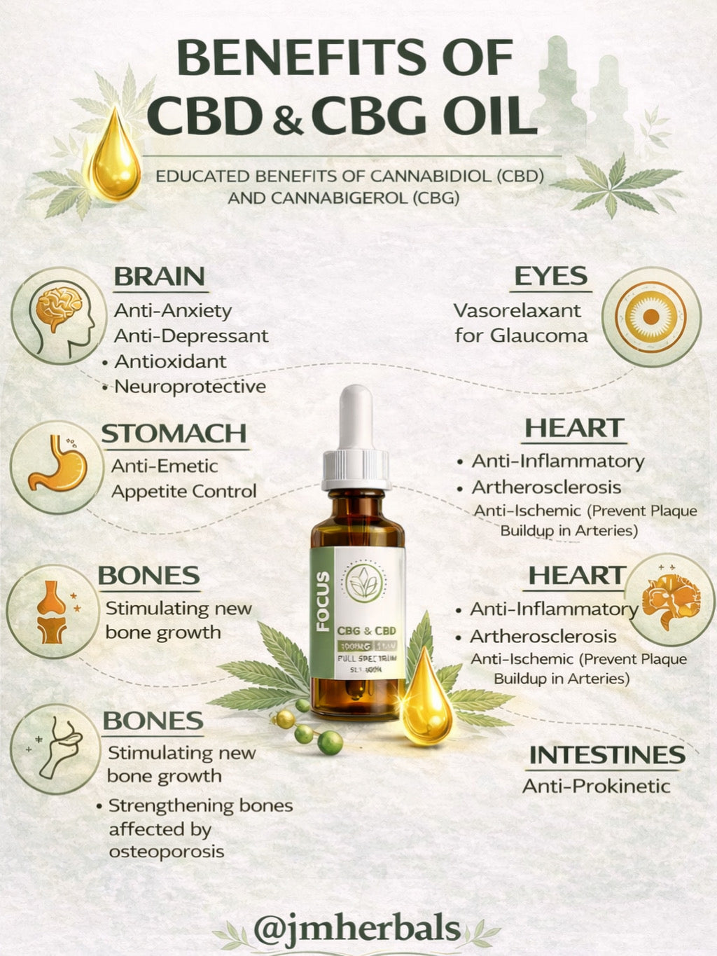 Focus Oil (CBG Drops)