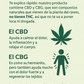 Focus Oil (CBG Drops)