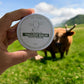 Tallow balm | Moisturizer | Dry Skin | Aging Skin | Acne Prone | Skin Elasticity