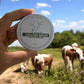 Tallow balm | Moisturizer | Dry Skin | Aging Skin | Acne Prone | Skin Elasticity