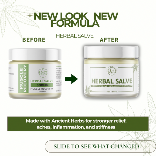 Herbal Salve — New Look + Upgraded Formula - Joint & Muscle Salve